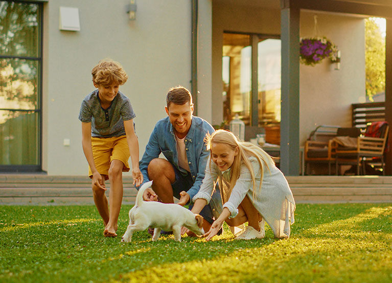 Smiling Father, Mother and Son Pet and Play with Smooth Fox Terrier Retriever Dog. Sun Shines on Idyllic Happy Family with Loyal Pedigree Dog have Fun at the Idyllic Suburban House Backyard