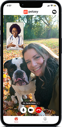 Petzey Call_Dr.Sarah_cropped_resized.png